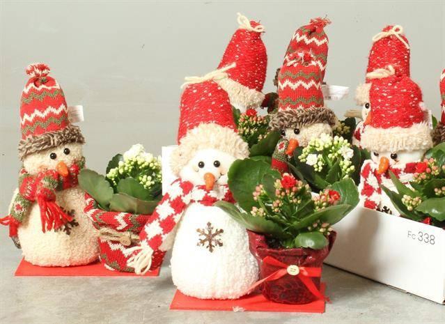 <h4>ARR KAMERPLANTEN H%</h4>