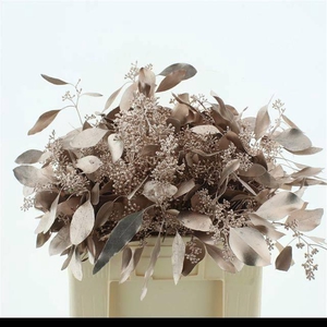 EUC PO FRU KLB BS H%