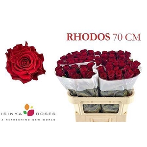 R Gr Rhodos