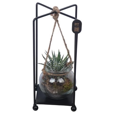 <h4>PTSUT8929 Arrangement zomer in frame</h4>