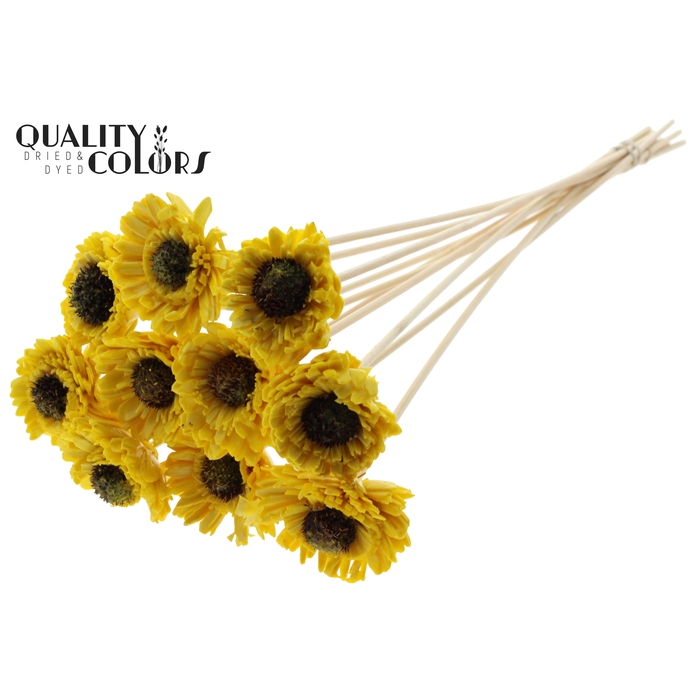 <h4>Shola Daisy Sunflower 6cm on stem Wax Yellow</h4>