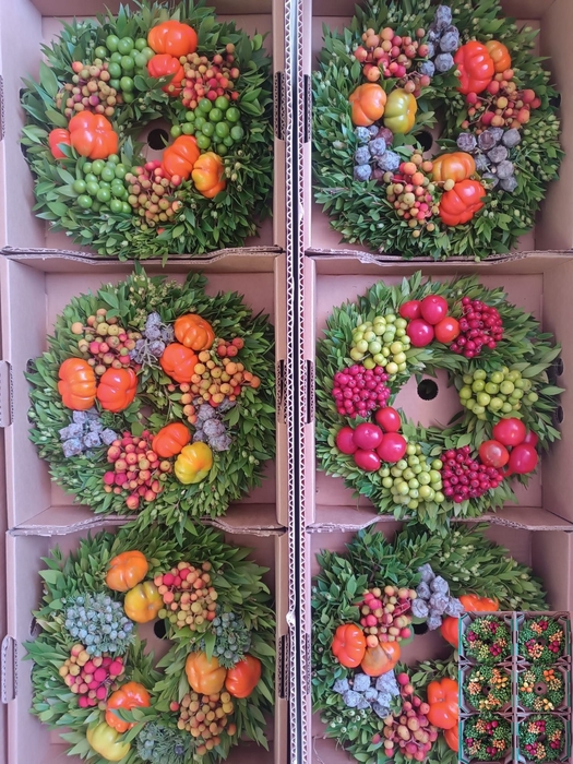 <h4>SIERFRUIT KRANS H%</h4>