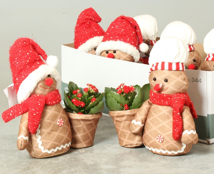 <h4>ARR KAMERPL</h4>