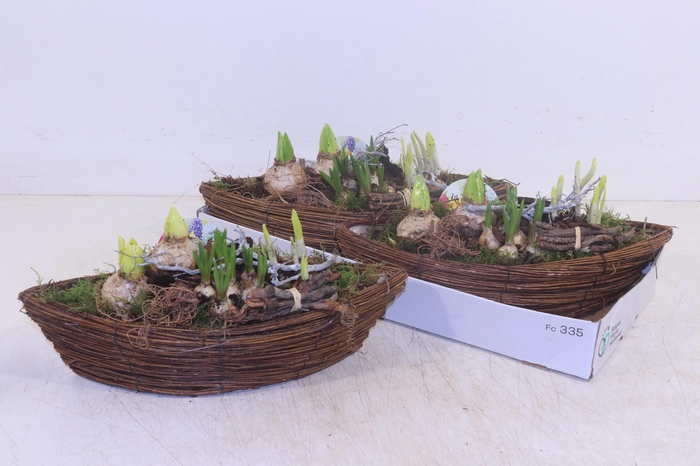 <h4>ARR BOL KNOLGEWAS</h4>