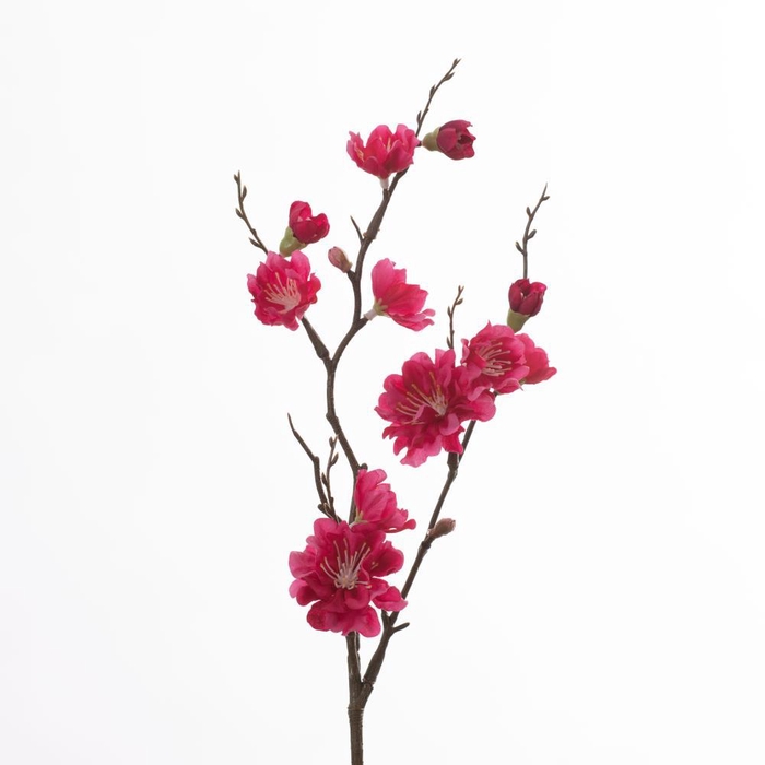 <h4>AF Prunus Pick L41cm Beauty</h4>