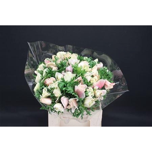 Anem Z Mega Pastel White