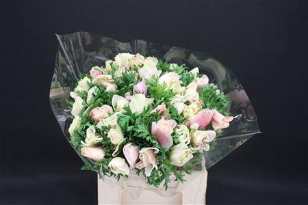 <h4>Anem Z Mega Pastel White</h4>