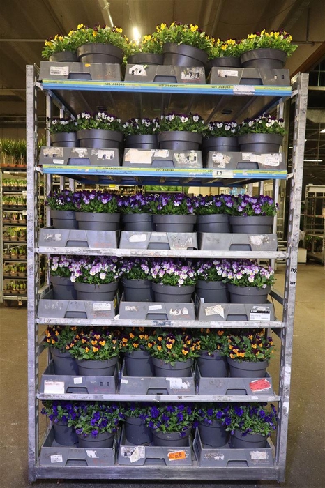 <h4>Vio Co Mixk 6kl 1 Kleur Per Fust</h4>