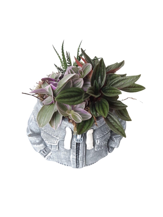 <h4>Arr.   Kamerplant Groen L%</h4>