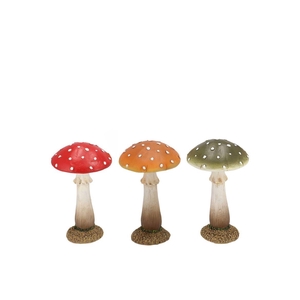 Wonderland Mushroom Scottisch Spice Amanita Ass 11x11x18cm