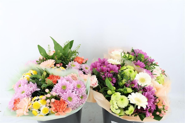 <h4>Bqt Twister 17st</h4>