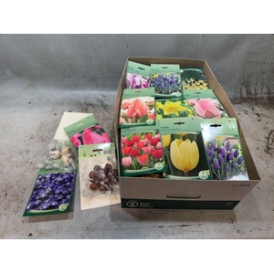 Flowerbulbs, corns or tubers   ...