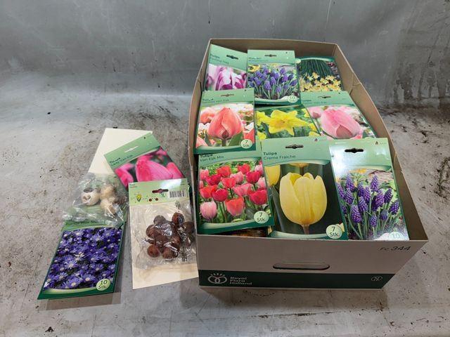 <h4>Flowerbulbs, corns or tubers   ...</h4>