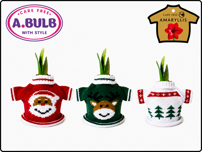 <h4>A.BULB with Style - 32cm Christmas Mix</h4>