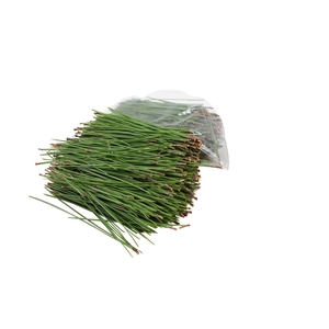 Kiefer Naalden 500 Gr.