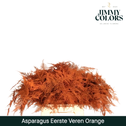 <h4>Asparagus 1ste Orange</h4>