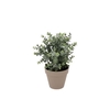 Silk Eucalyptus Green In Pot Terra M 25x25x28cm Nm