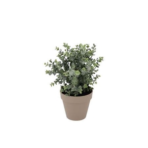 Silk Eucalyptus Green In Pot Terra M 25x25x28cm