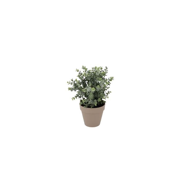 <h4>Silk Eucalyptus Green In Pot Terra M 25x25x28cm</h4>