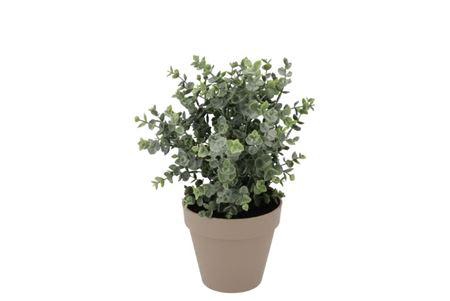 <h4>Silk Eucalyptus Green In Pot Terra M 25x25x28cm Nm</h4>