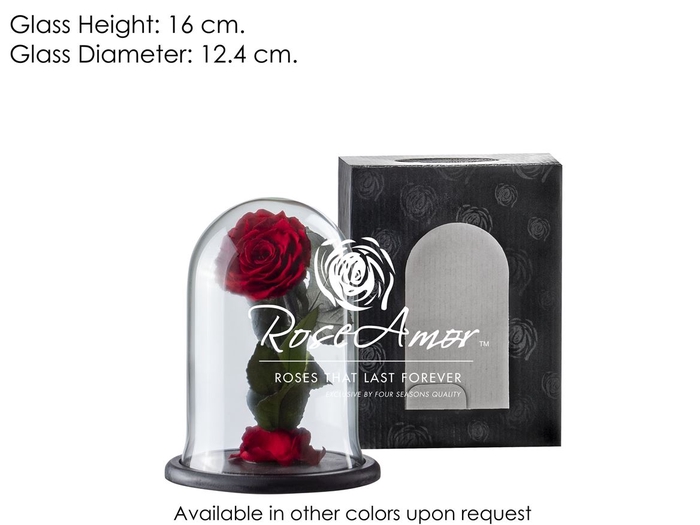 Dome Sofia Red01 Bulk