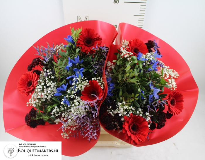 <h4>GEM BOEKET OV</h4>