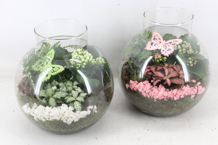 <h4>arr2 MB - Glas bol nek - roze/wit</h4>