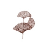 Pick Shine Lotus Scottish Copper 40cm Per 12