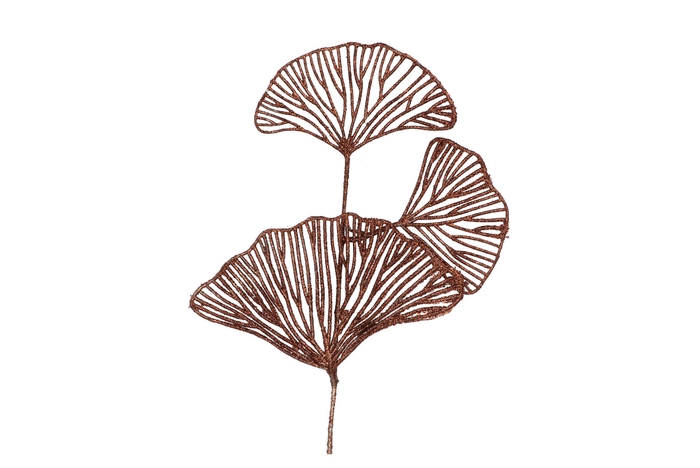 Pick Shine Lotus Scottish Copper 40cm Per 12