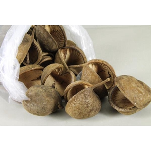 Buddha Nuts Natural Bag(35)