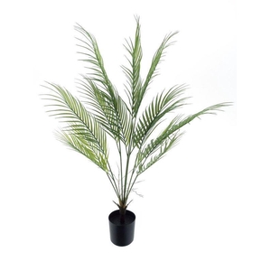Areca palm Sara in pot green 90cm