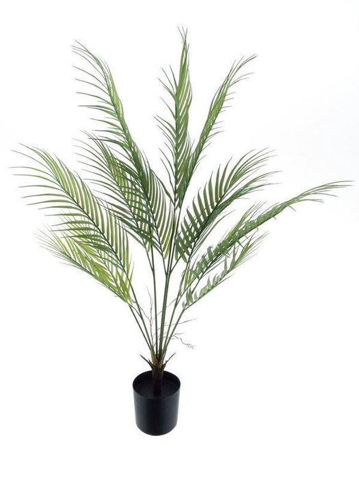 <h4>Areca palm Sara in pot green 90cm</h4>