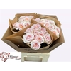 Rosa Garden Mystic Moments