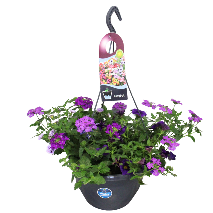 <h4>'Weekaanbieding; Hangpotten 27 waterreservoir mix 03 Paarse mix</h4>