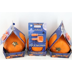 Sier Cuc P Maxima Halloween Carvesets X1