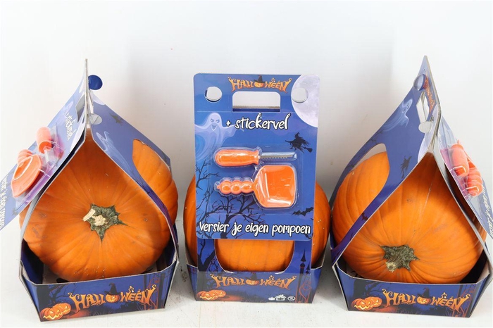 <h4>Sier Cuc P Maxima Halloween Carvesets X1</h4>