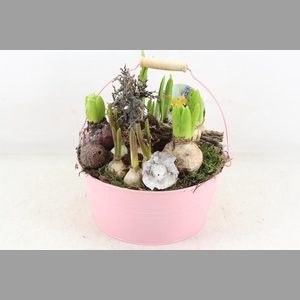 arr4 Bollenmix VL - Emmer pink 250/2