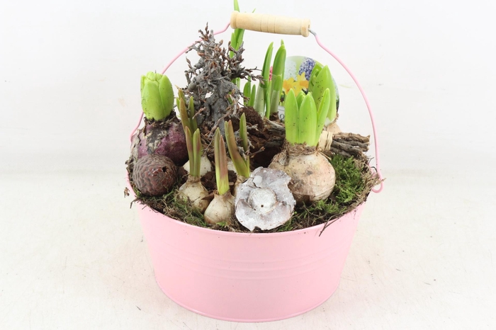 <h4>arr4 Bollenmix VL - Emmer pink 250/2</h4>