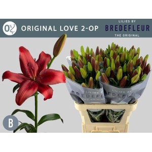 LI LA ORIGINAL LOVE  2OP