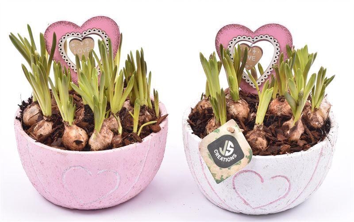 <h4>Cement schaal hart decor mix 16cm</h4>