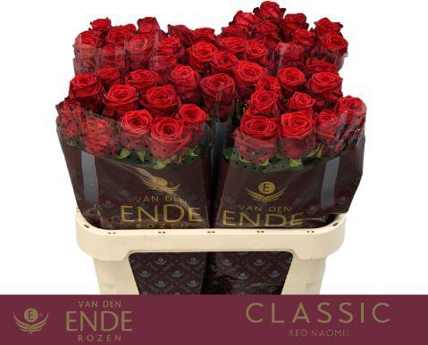 <h4>R GR RED NAOMI! CLASSIC 80cm</h4>