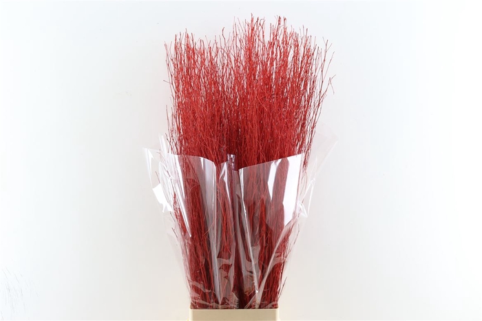 <h4>Branch 100cm Bright Red P Stem</h4>