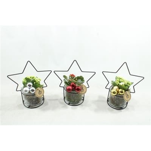 6483 GLAS STER-FRAME