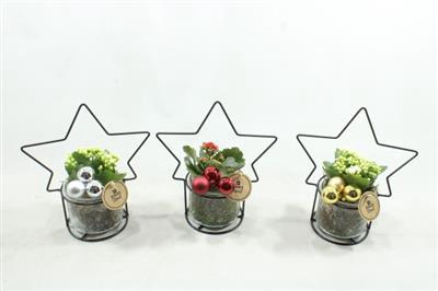 <h4>6483 GLAS STER-FRAME</h4>