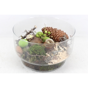 arr4 Amaryllis MB - Glas schaal lydia 335/2