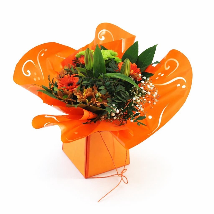<h4>Aqua-Bulle Bieder in tas oranj</h4>