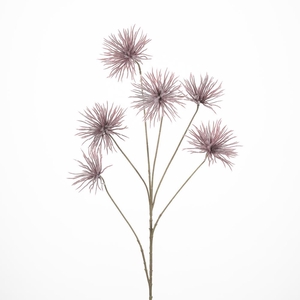 AF Anemone seed spr/6 L96cm re