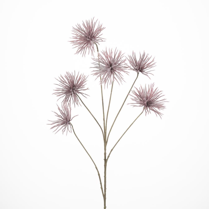 <h4>AF Anemone seed spr/6 L96cm re</h4>