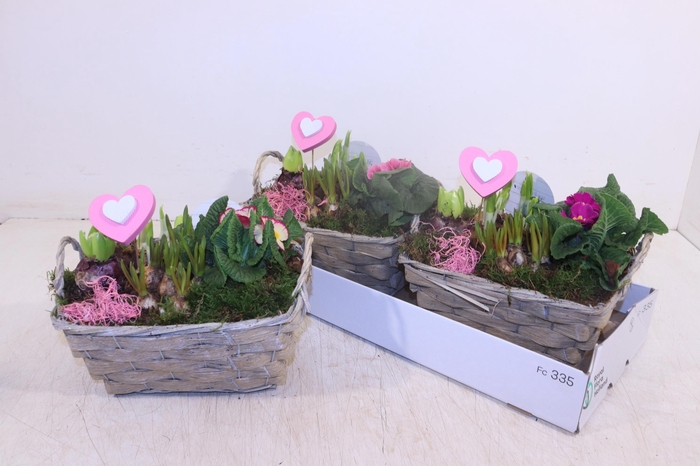 <h4>ARR TUINPLANTEN</h4>