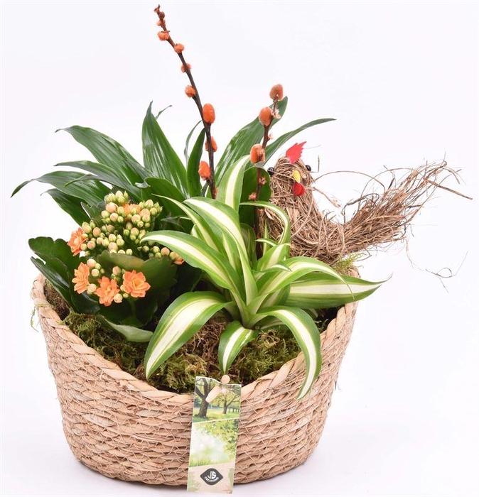 <h4>Jute mand ovaal 19x14cm</h4>